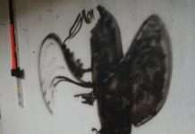 Кому належить цей силует? (2 фото)