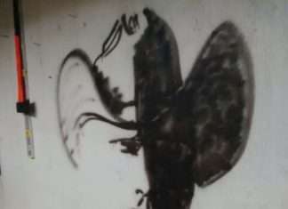 Кому належить цей силует? (2 фото)