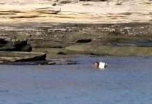 Знімальна група каналу Animal Planet врятувала людину з безлюдного острова (5 фото)