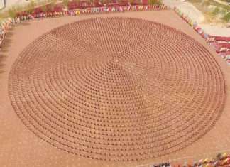 Масова тренування учнів школи кунг-фу Тагоу (8 фото)