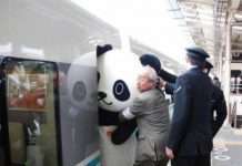 Підбірка смішних фото з Японії (38 фото)