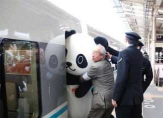 Підбірка смішних фото з Японії (38 фото)