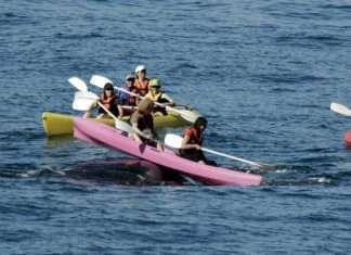 Туристи прокотилися на спині кита (4 фото)