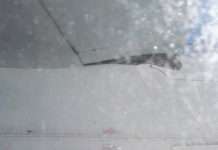 Крило літака авіакомпанії Air New Zealand відремонтували скотчем (2 фото)