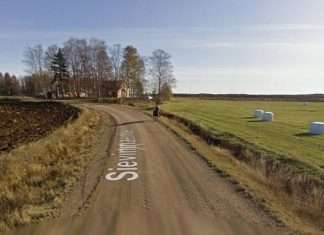 Наслідки зустрічі коні з машиною Google Street View (5 фото)