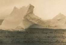 Цікаві факти і короткі історії (21 фото)