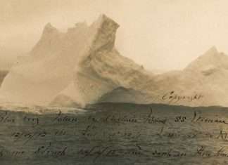 Цікаві факти і короткі історії (21 фото)