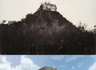 Підбірка цікавих фото. Частина 36 (26 фото)