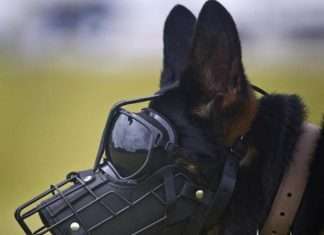 Підбірка цікавих фото. Частина 37 (31 фото)