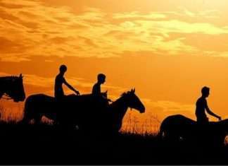 Краси і розкоші Росії (50 фото)