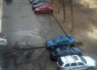 Везучі автомобілісти (2 фото)