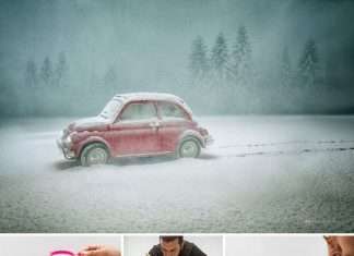 Дивовижні фотографії з дитячими іграшками (9 фото)