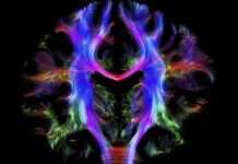 Дивовижні фото з світу науки (20 фото)