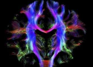 Дивовижні фото з світу науки (20 фото)