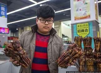 Магазин сушених пенісів в Китаї (8 фото)