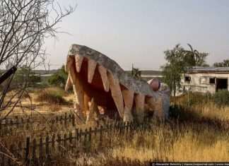 Покинутий крокодилячий розплідник в Ізраїлі (20 фото)