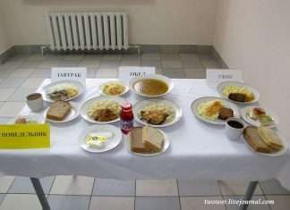 Харчування солдатів у сучасній російській армії (27 фото)