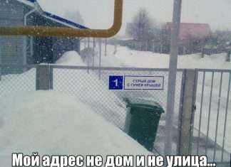 Прикольні картинки. Вечірній випуск (53 фото)