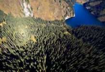 Краси Казахстану з висоти пташиного польоту (40 фото)