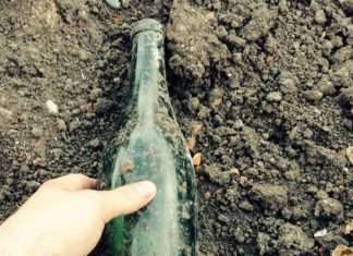 Послання від військовослужбовців, що пролежало в пляшці 39 років (5 фото)