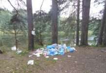 Як дачниця ліс від сміття рятувала (10 фото)