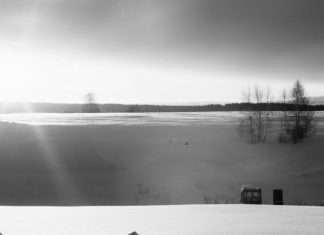 У покинутому селі Пермського краю пенсіонерка відкрила притулок для бездомних (18 фото)