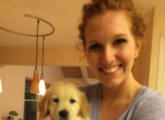 Милий щеня з брекетами підкорив інтернет (7 фото)