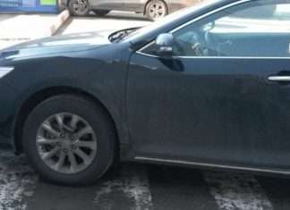 Оригінальне покарання для любителя паркування на зебрі (2 фото)