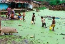 Фотопідбірка, що нагадує нам справжню цінність води (24 фото)