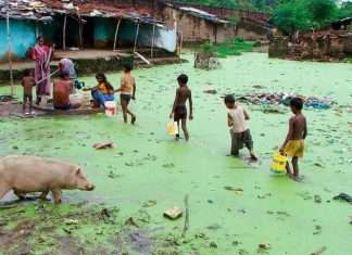 Фотопідбірка, що нагадує нам справжню цінність води (24 фото)