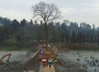 Транспортування вікового дерева в Грузії (3 фото)