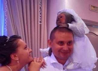 Фото, які можливо було зробити тільки в Росії. Частина 24 (41 фото)