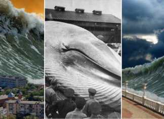 Кілька руйнівних фактів про цунамі