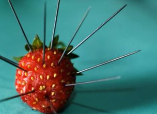 5 страшних правдивих історій, які звучать як вигадані