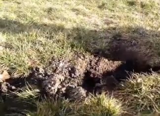 В Кримську в житловому мікрорайоні утворився «Вхід у Пекло»