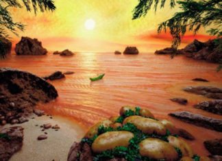 Вражаючі пейзажі, зроблені з продуктів