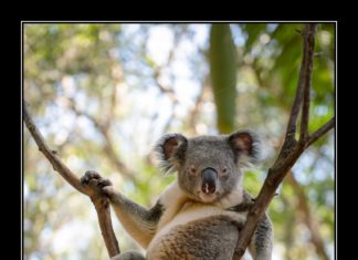 Пару жартів вам з ранку :-)