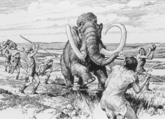 Вчені «розбудили» ядра клітин стародавнього мамонта