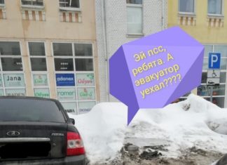 Весна – пора підсніжників