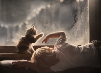 23 чарівні фотографії, які доводять, що вашій дитині потрібен кіт