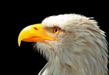 США продовжують душити Венесуели санкціями