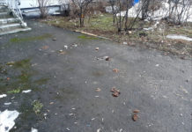 Хто гірше собачників?