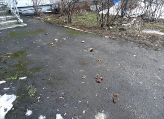 Хто гірше собачників?