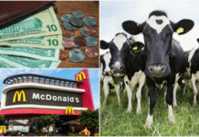 17 звичайних для американців речей, які здадуться дивними всім приїжджим