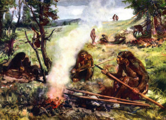 Вчені зясували, як саме неандертальці полювали