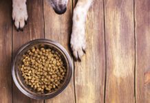 Корм для собак All Dogs: огляд складу та відгуки