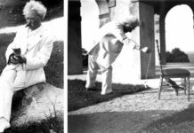 Виявляється, Марк Твен був ще тим котячим татком