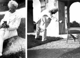 Виявляється, Марк Твен був ще тим котячим татком