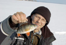 Окунь великих водойм — як зловити