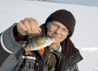 Окунь великих водойм — як зловити